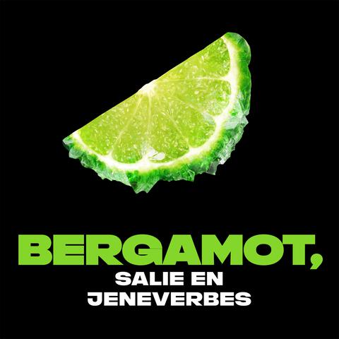 AXE&nbsp;Fine Fragrance Aqua Bergamot Deodorant Bodyspray 150 ML