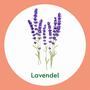 Dettol Antibacterieel Verzachtend Lavendel Handzeep 250 ML