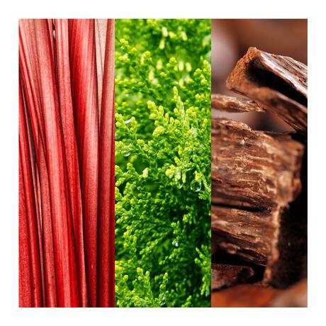 Joop! Go eau de toilette 100 ML