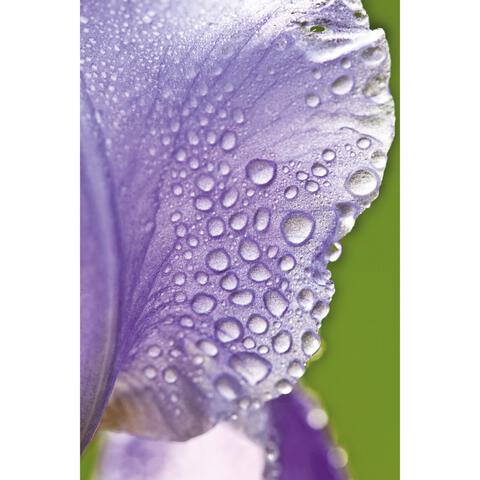 Weleda Iris Hydraterende Dagcrème 30 ML