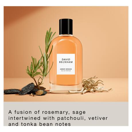 David Beckham Collection Amber Breeze eau de parfum 50ml​