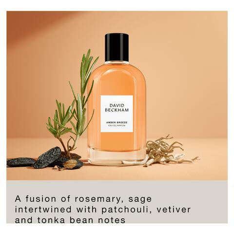 David Beckham Collection Amber Breeze eau de parfum 50ml​