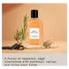 David Beckham Amber Breeze Eau De Parfum 50 ML