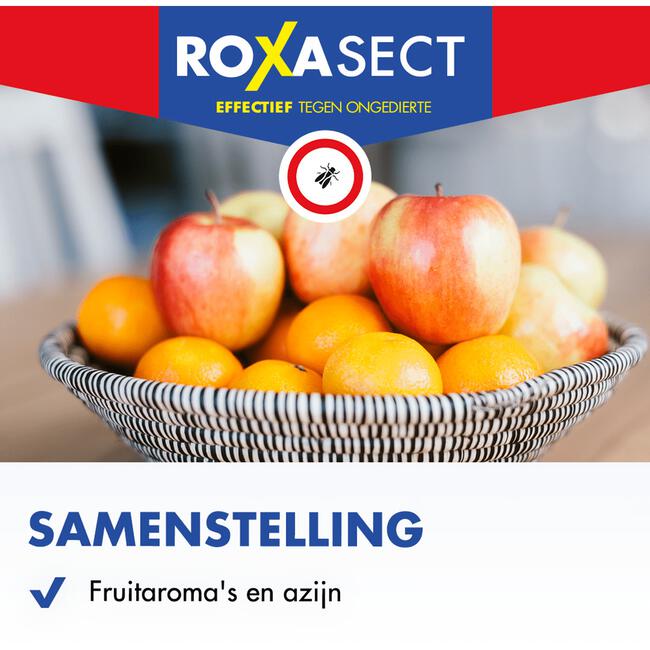Roxasect Fruitvliegjes Vanger 1 stuk