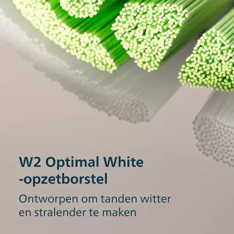 Philips Sonicare Elektronische Tandenborstel 3100 series Wit HX4032/21