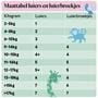 Etos Luiers Junior+ Maat 5+ 12-17 kg Maandbox 174 stuks