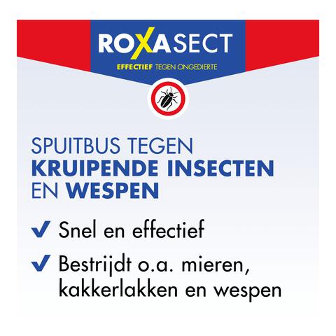 Roxasect Spuitbus Kruipende Insecten en Wespen 400 ML
