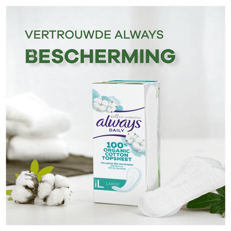 Always Dailies Bio Cotton Large