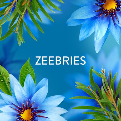 Lenor Geurparels Zeebries Fresh 240 gram