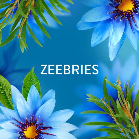 Lenor Geurparels Zeebries Fresh 240 gram