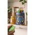 Pukka Herbal Favourites Collection