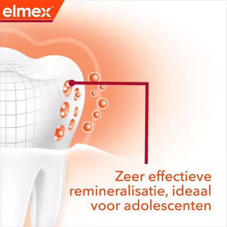 Elmex® Anti-Cariës Professional Ortho Tandpasta 75 ML
