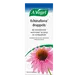 A.Vogel Echinaforce Bij Onvoldoende Weerstand En Griep Druppels 100 ML