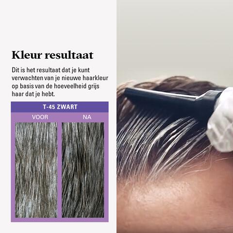 Just For Men Touch of Grey T45