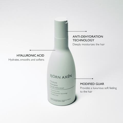 Bjorn Axen Moisture Shampoo 250 ML