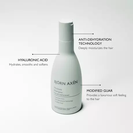 Bjorn Axen Moisture Shampoo 250 ML