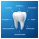 Oral-B Pro-Expert Gevoeligheid Tandpasta 75 ML