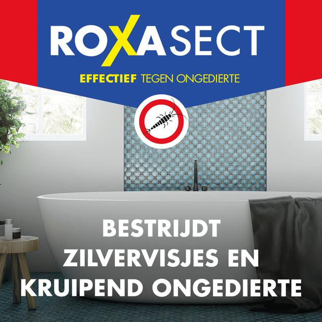 Roxasect Zilvervisjesval 2 stuks