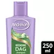 Andrélon Iedere Dag Shampoo 250 Ml