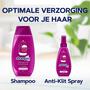Schwarzkopf Kids Shampoo Raspberry 250 ML