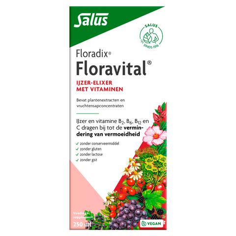 SALUS Floradix Floravital 250 ML