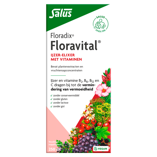 Floradix Floravital Ijzer Elixer 250 ML