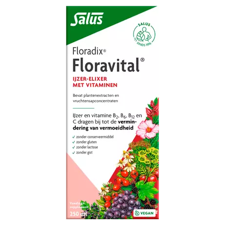Floradix Floravital Ijzer Elixer 250 ML