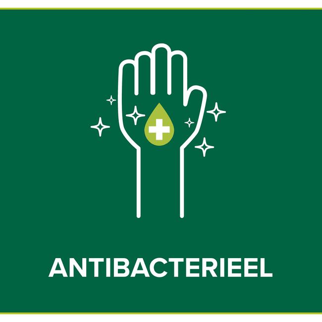 Palmolive Hygiëne Plus Family Antibacteriële Vloeibare Handzeep 300 ML