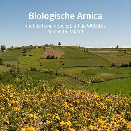 WELEDA Arnica Sport Douchegel 200 ML