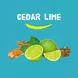 Happy Earth 100% Natuurlijke Cedar Lime Douchegel 300 ML