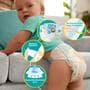 Pampers Baby Dry Luiers Maat 3 6-10 KG 24 stuks
