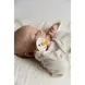 BIBS Colour Fopspeen Rond Latex Maat 2 Ivory/Sand/Vanilla/Dark 4 stuks