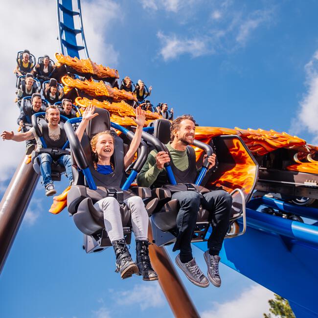Entreeticket Toverland Kinderen 90-140 cm