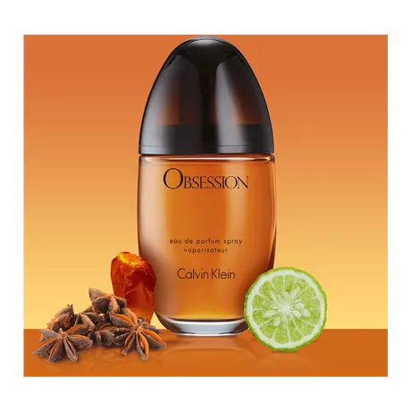Calvin Klein Obsession Eau De Parfum 100 ML