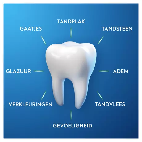 Oral-B Pro-Expert Frisse Adem Tandpasta 75 ML