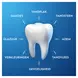 Oral-B Pro-Expert Frisse Adem Tandpasta 75 ML
