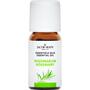 Jacob Hooy Essentiële Olie Rozemarijn 10 ML