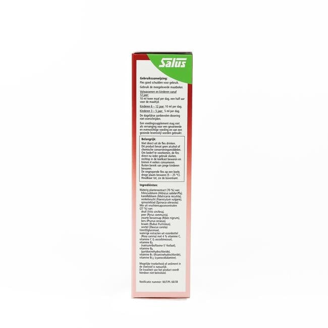 SALUS Floradix Floravital 250 ML