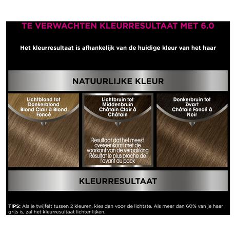 Garnier Olia Permanente Haarverf 6.0 Donkerblond