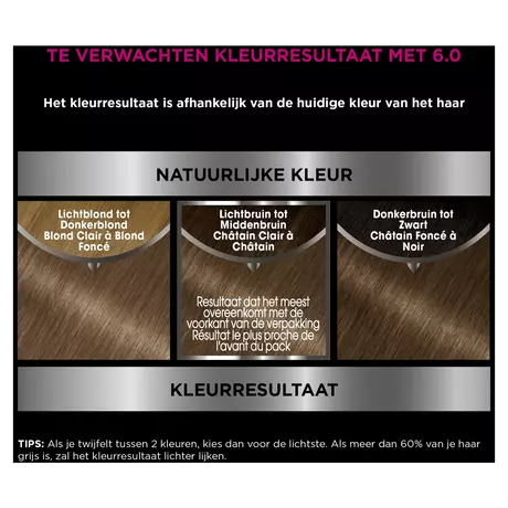 Garnier Olia Permanente Haarverf 6.0 Donkerblond