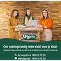 Organix Bio Luchtige Rijstwafeltjes Appel