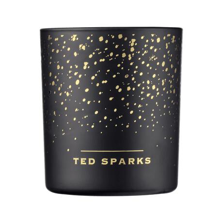 Ted Sparks Demi Candle Cinnamon & Spice 