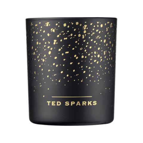 Ted Sparks Demi Candle Cinnamon & Spice 