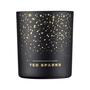 Ted Sparks Demi Candle Cinnamon & Spice 