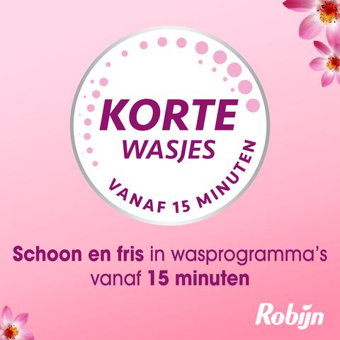 Robijn Quick Wash Sunset Bloom 837 ML