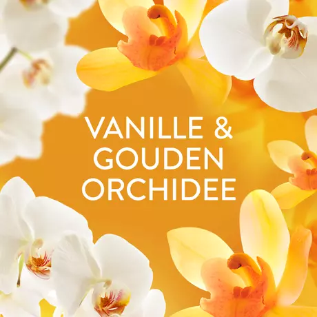Lenor Gouden Orchidee Geurbooster 155 gram