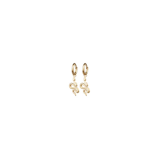 BiSjU Jewellery Oorbellen Ronde Ringen Silver Plated 