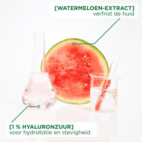 Garnier SkinActive Ampul Sheet Masker Met Watermeloen & Hyaluronzuur