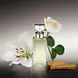 Calvin Klein Eternity Eau De Parfum 50 ML