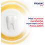 Prodent Tandpasta Menthol Power 75 ML